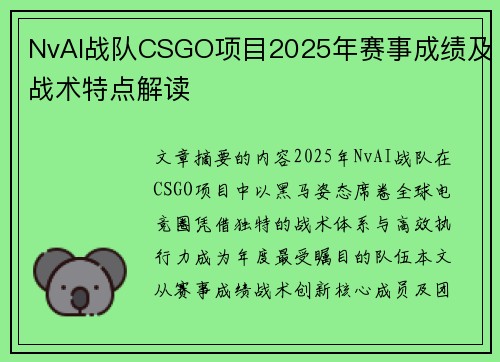 NvAI战队CSGO项目2025年赛事成绩及战术特点解读